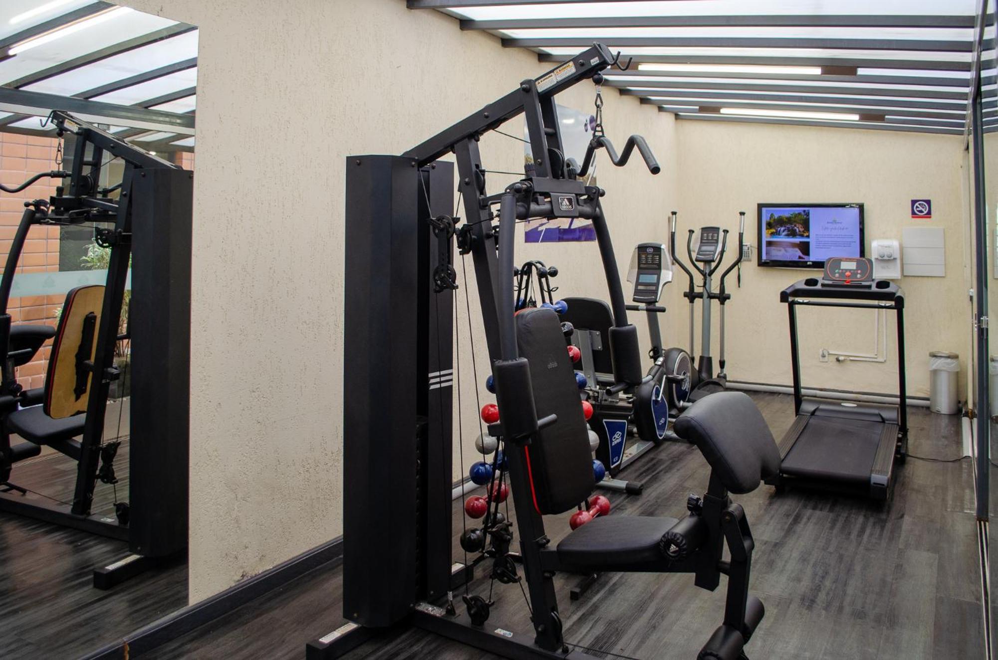 Royal Boutique Savassi Hotel Belo Horizonte Eksteriør bilde A gym at the hotel