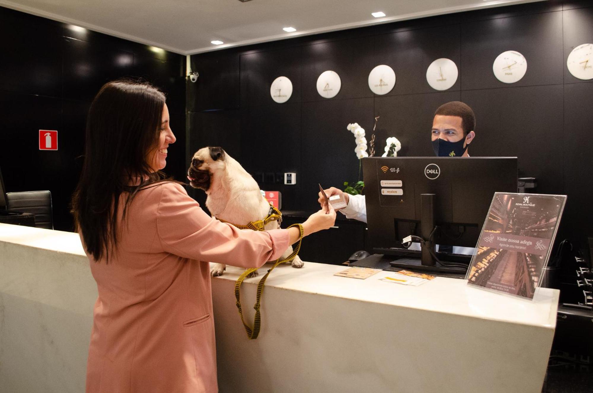 Royal Boutique Savassi Hotel Belo Horizonte Eksteriør bilde A woman checking in at a hotel with her dog